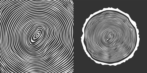 Round tree trunk cut, sawn pine or oak slice. Saw cut timber, wood. White wooden texture with tree rings. Hand drawn sketch. Vector illustration - obrazy, fototapety, plakaty