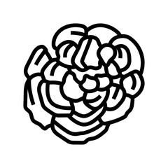 turkey tail mushroom line icon vector. turkey tail mushroom sign. isolated contour symbol black illustration