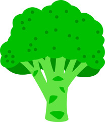 Broccoli cabbage vegetable