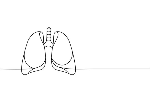 Human lungs one line continuous drawing. Human organ continuous one line illustration. Vector minimalist linear illustration.