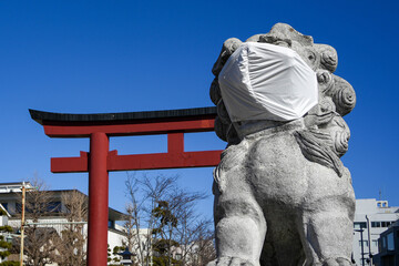 狛犬と二の鳥居・段葛（日本、神奈川県鎌倉市、鶴岡八幡宮）
