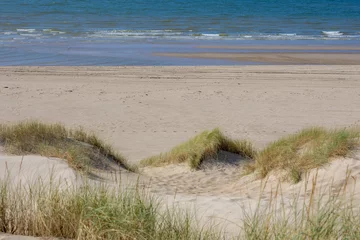 Photo sur Aluminium Mer du Nord, Pays-Bas Vue sur la plage depuis le chemin de sable entre les dunes de la côte néerlandaise de la mer du Nord avec de l& 39 herbe marram européenne (herbe de plage) le long de la digue sous un ciel bleu clair, Noord Holland, Pays-Bas.