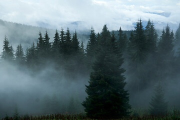 Incredible view of the Carpathian mountains early in the morning. sunrise in the mountains. Cloudy sky after rainy night on the top of the hill. Mountain valley at sunrise. Rain drops on lens