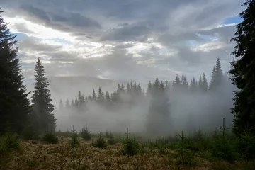 Foto auf Acrylglas Wald im Nebel Unglaubliche Aussicht auf die Karpaten am frühen Morgen. Sonnenaufgang in den Bergen. Bewölkter Himmel nach regnerischer Nacht auf der Spitze des Hügels. Bergtal bei Sonnenaufgang. Regentropfen auf Linse