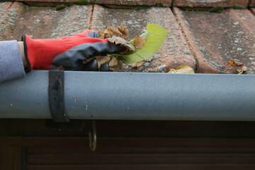 Cleaning the gutter from autumn leaves before winter season. Roof gutter cleaning process.	