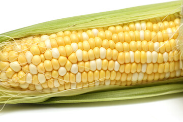 白背景のトウモロコシ