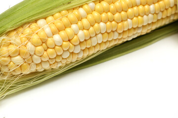 白背景のトウモロコシ