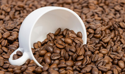 Coffee beans in a cup of coffee isolated on coffee beans.