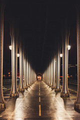 Panoramic view of old historic Bir Hakeim Bridge (formerly the Pont de Passy) in Paris, France. Steel arch bridge viaduct symmetry tunnel across river Seine. Street lights and colonnade.