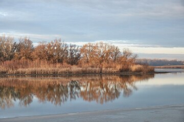 Lakeside autumn landscape with leafless trees