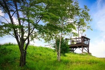 Naklejka premium 「キャベツ畑の中心で妻に愛を叫ぶ」イベントが行われる、群馬県の嬬恋の「愛妻の丘」付近の夏の風景