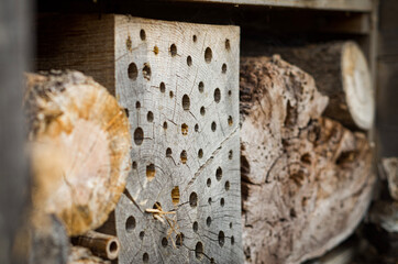 Perforated Block of Wood