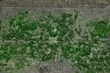 Fototapeta na wymiar Stone wall with green moss as background, closeup