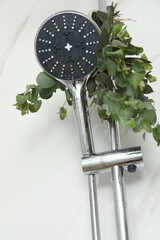 Branches with green eucalyptus leaves in shower, low angle view