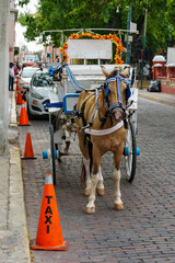 Horsedrawn carriage waiting at a taxi stand in Merida, Mexico