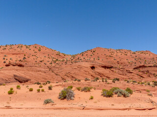 Fototapeta na wymiar Views of Antelope Slot Canyon - Page - Arizona - USA