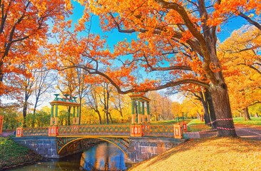 Autumn nature landscape. Lake bridge in fall park. Path way in gold woods. Romantic view image scene Magic sunny pond Red color oak tree leaf Calm bright light blue sky, city sunrise, sunlight sun day