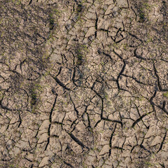 Seamless Dirt Texture. The dusty, rough surface of the earth. Aesthetic background for design, advertising, 3D. Empty space for inscriptions. Desert.
