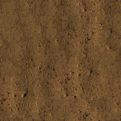 Seamless Dirt Texture. The dusty, rough surface of the earth. Aesthetic background for design, advertising, 3D. Empty space for inscriptions. Desert.