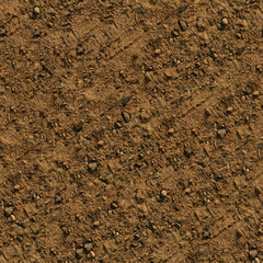 Seamless Dirt Texture. The dusty, rough surface of the earth. Aesthetic background for design, advertising, 3D. Empty space for inscriptions. Desert.