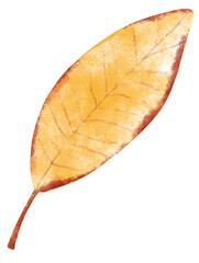 Leaf autumn thanksgiving watercolor element
