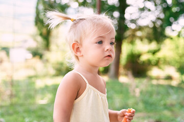 Little girl with ponytails holding a carrot. High quality photo