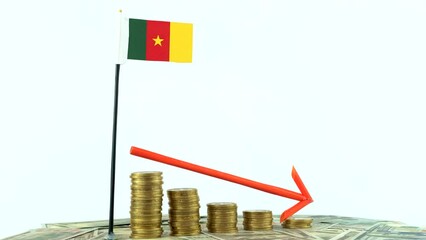 Cameroon flag with coins on turntable, inflation concept video, red down arrow, economy and finance idea - Powered by Adobe