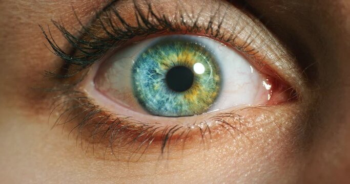 Eye, vision and awareness of woman opening eyelid for realization, idea or wow, Waking up, witness or searching macro, zoom or closeup for medical optometry examination or human iris and anatomy