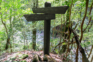 森の中に立つ木製の道標