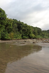 Fototapeta na wymiar beach with jungle