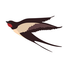Colorful flying swallows flat illustration. Bird flock in fight with different poses isolated vector illustration. Wildlife and fauna concept