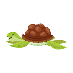 Happy turtle. Funny cartoon character enjoying leisure. Flat vector illustration for animals or wildlife concept