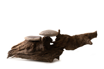 Stone product display podium on old log, Isolated on white background