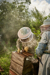dos apicultores con traje especial abriendo colmena de abejas