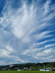 
Sky and rural landscape with nice clouds.