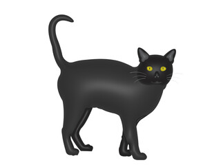 cat in cat in transparent background image background image