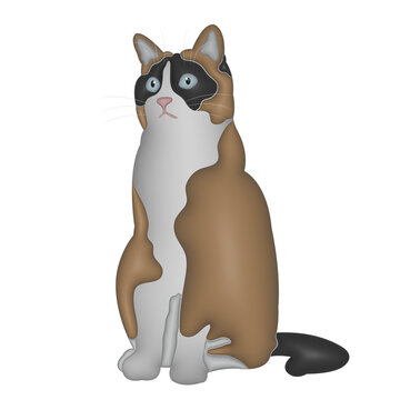 cat in cat in transparent background image background image