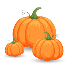 Vector orange pumpkins isolated on white background.