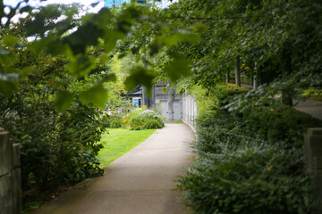 alley in the garden closed door