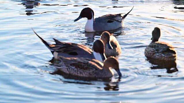 名称未設定プロジェクト