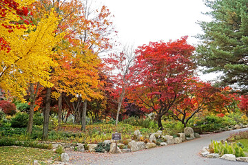 Naklejka premium The autumn season leaf in south Korea