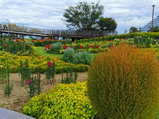 Obraz premium garden with flowers