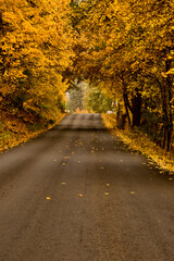 fall tunnel