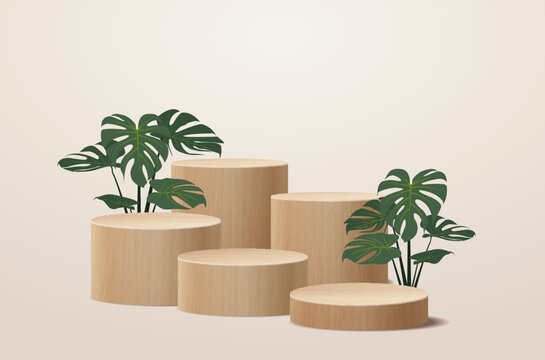 Vector wood podium presentation mock up, Wooden show cosmetic product display stage pedestal design with nature leaves