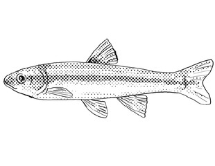 Cartoon style line drawing of a river chub or Nocomis micropogon a freshwater fish endemic to North America with halftone dots shading on isolated background in black and white.
