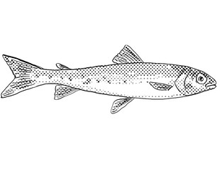 Cartoon style line drawing of a round whitefish or Prosopium cylindraceum  a freshwater fish endemic to North America with halftone dots shading on isolated background in black and white.