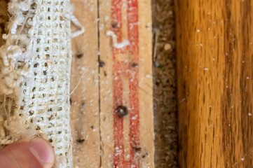 Carpet tack strip exposed during a flooring home improvement project