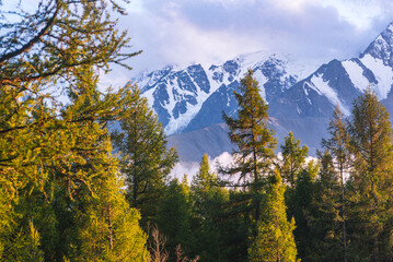 autumn in the mountain