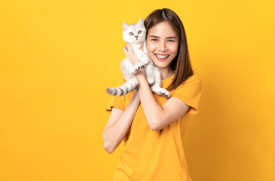 Studio shot of cheerful beautiful Asian Woman hands holding a small white kitten with black stripes, of the Scottish fold breed on orange background.