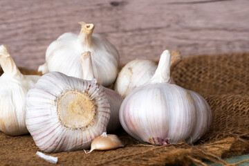 Garlic bulbs (Allium sativum) on sack.